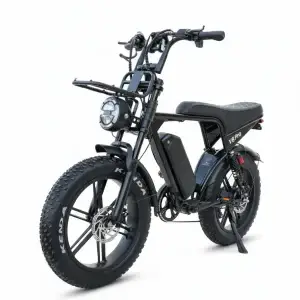 Moto Elétrica de Alta Performance 1000W